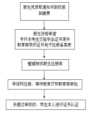 廣東省成人高考新生學(xué)籍注冊與查詢！