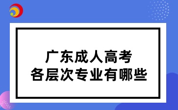 廣東成人高考各層次專業(yè)有哪些